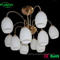 Decorative Glass Pendant Lamp/Chandelier Lighting (X-8106/5+5)